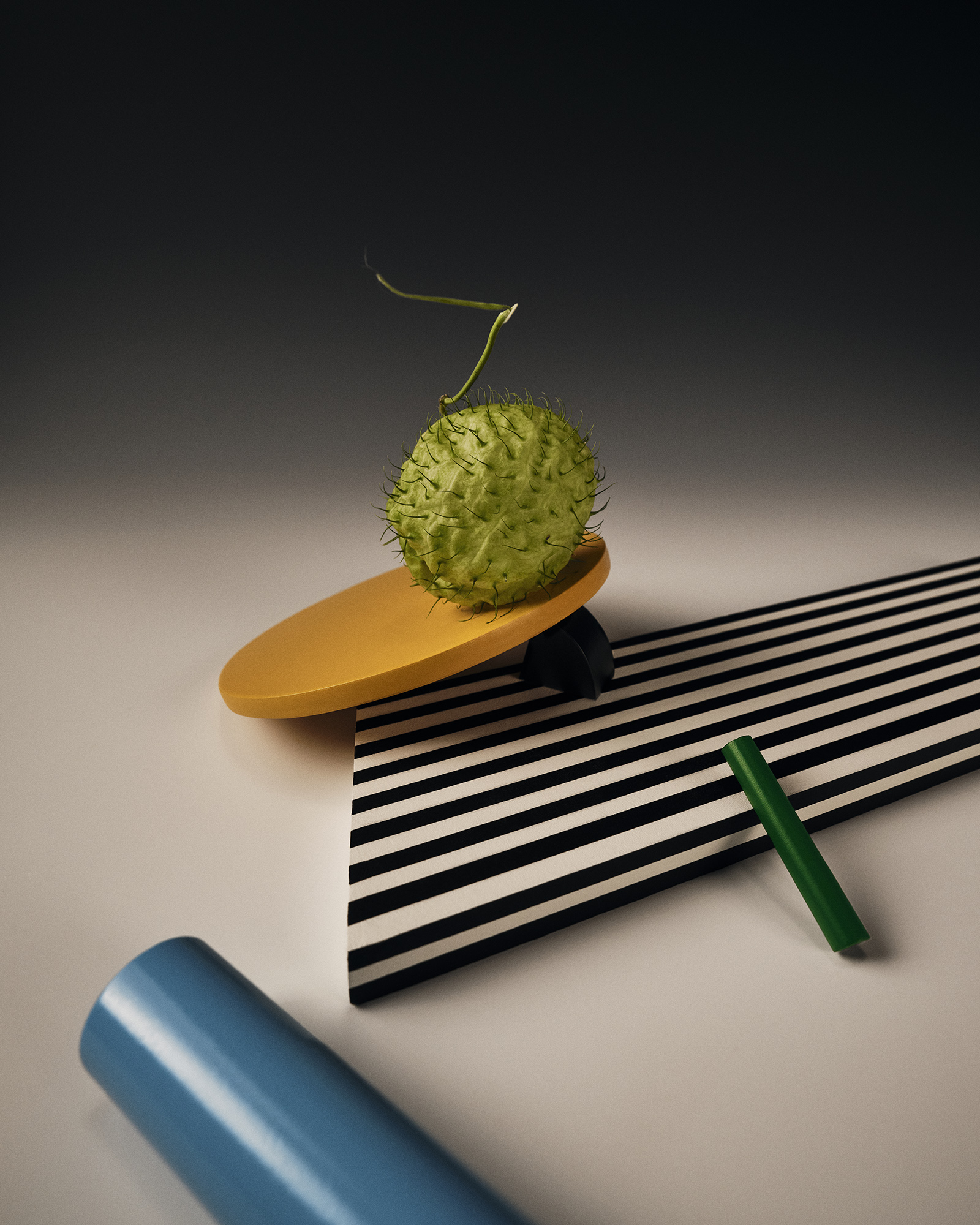 Radical Flowers, série pour Duel Magazine, Germain Gilbert, Époque studio, Paris - 1