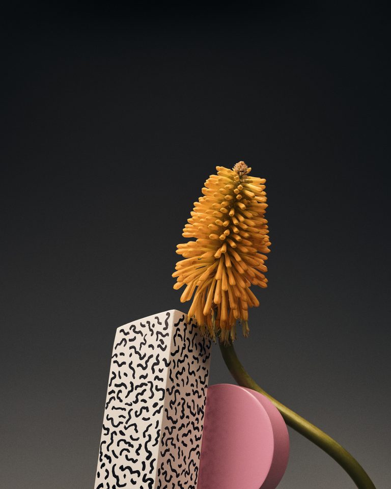 Radical Flowers, série pour Duel Magazine, Germain Gilbert, Époque studio, Paris - 3