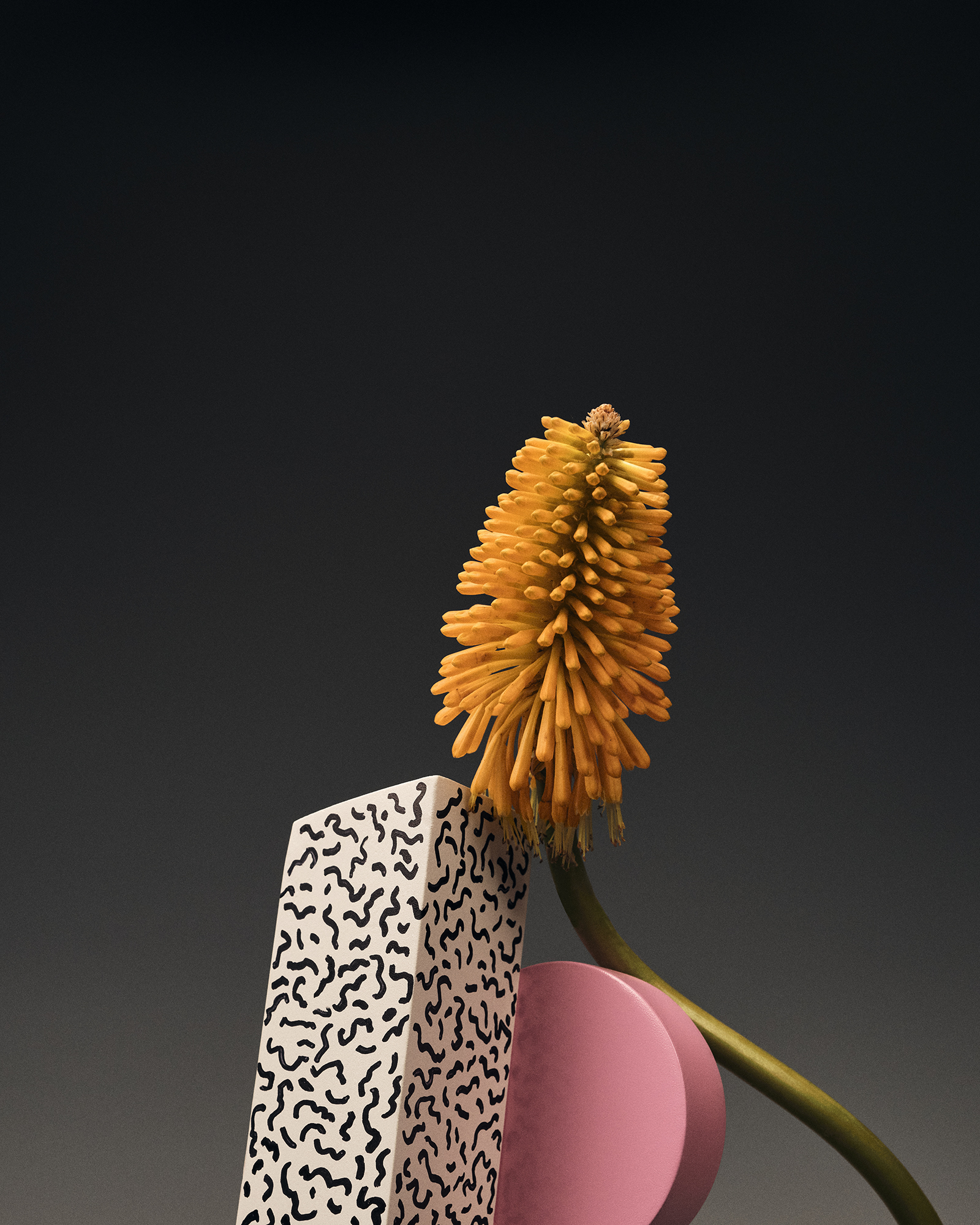 Radical Flowers, série pour Duel Magazine, Germain Gilbert, Époque studio, Paris - 3