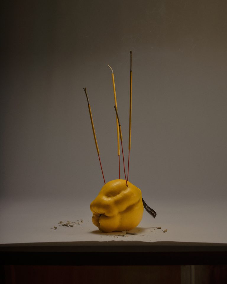 Inventaire, personal still life series made from objects found during a studio inventory - 1
