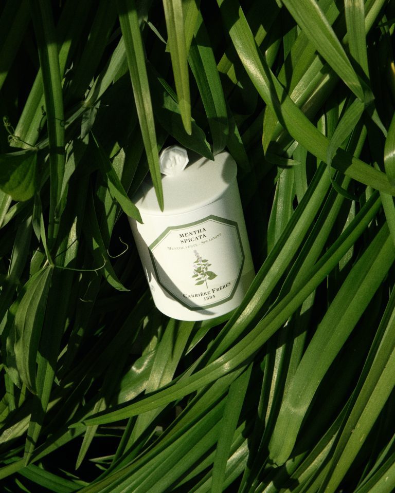 Carrière Frères, seasonal still life: scented candles, diffusers and soaps - 12