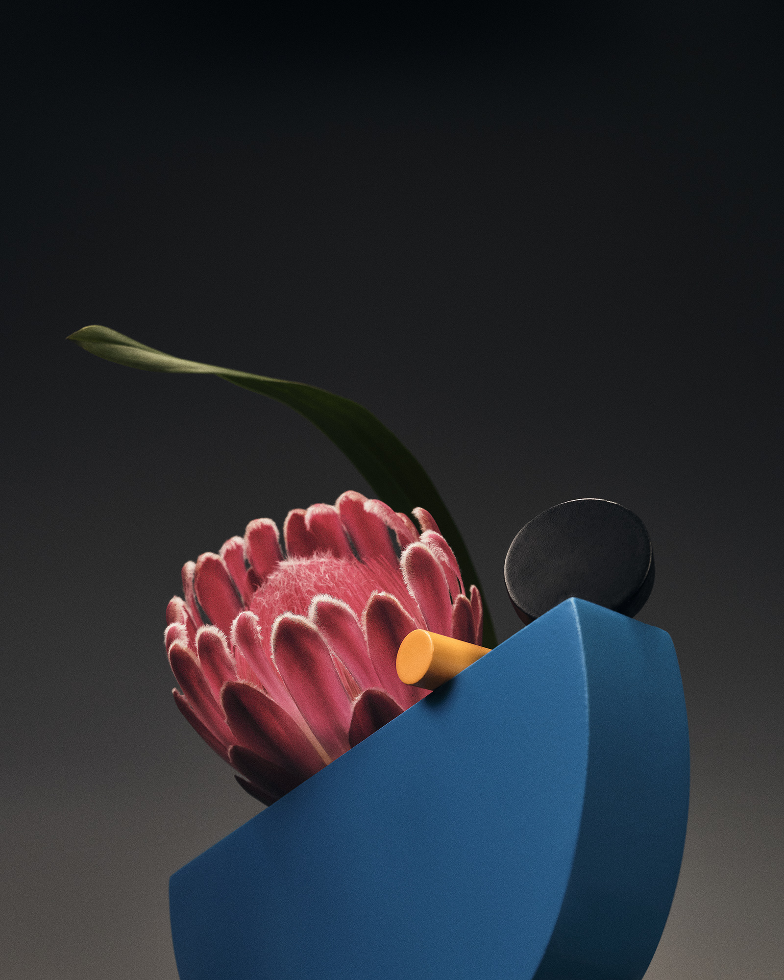 Radical Flowers, série pour Duel Magazine, Germain Gilbert, Époque studio, Paris - 4