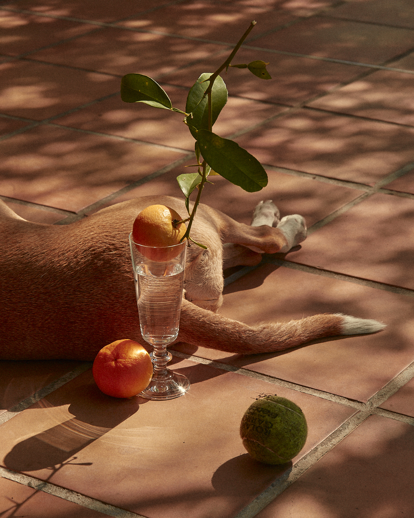 Trouvailles, personal series, photography by Germain Gilbert, Époque studio, Paris - 2