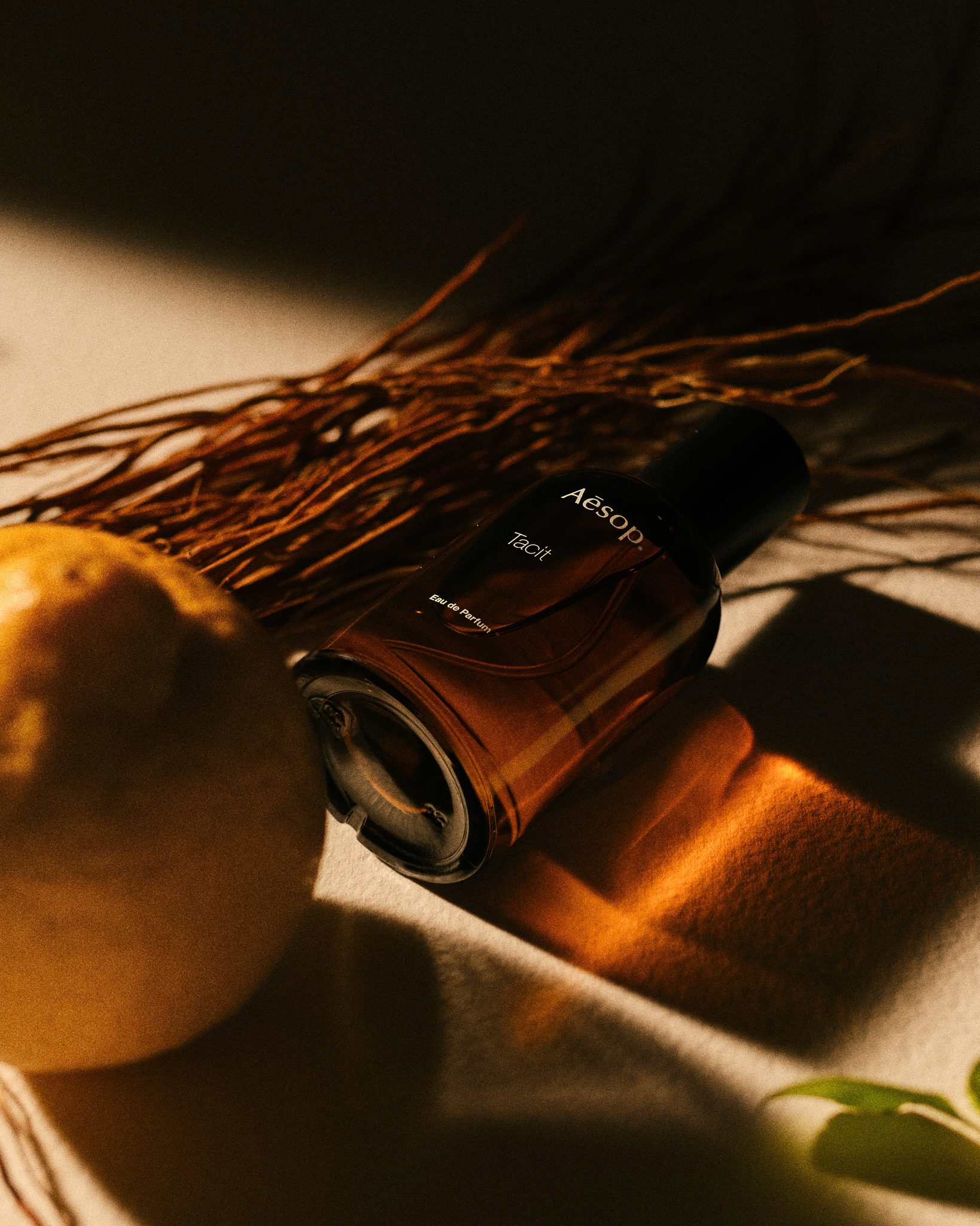 Aesop Ingrédients, perfume still life with raw ingredients - 1