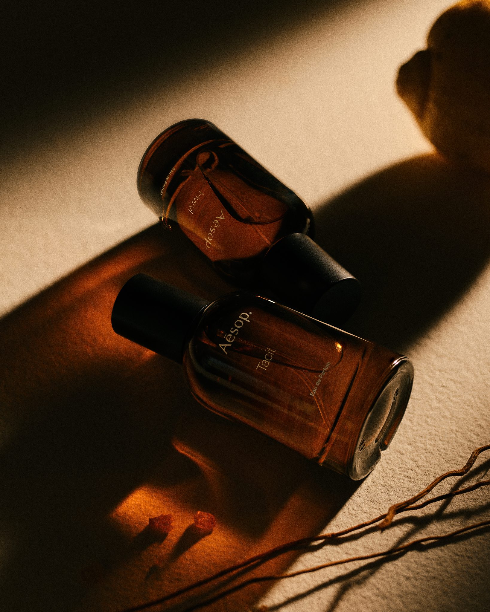 Aesop Ingrédients, perfume still life with raw ingredients - 3