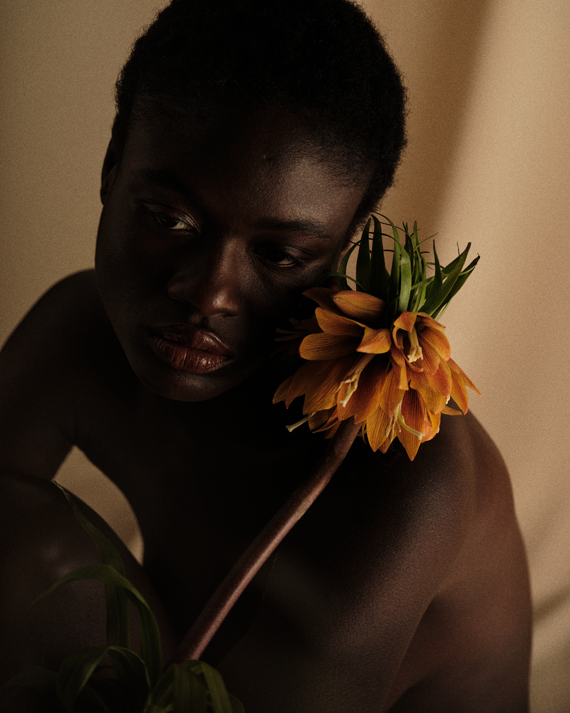 sāpōnem, editorial, nature morte et incarné beauté - 20
