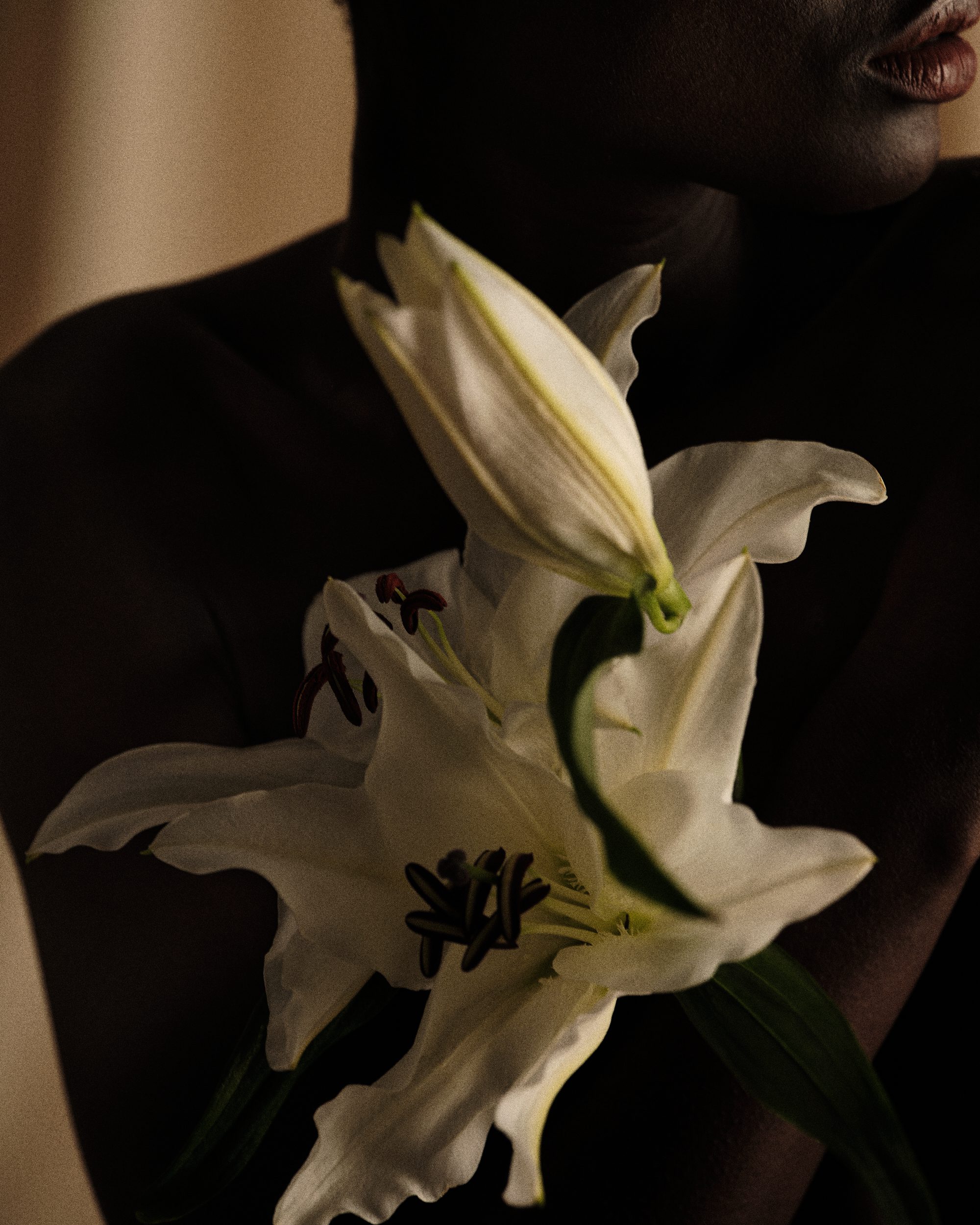 sāpōnem, editorial, nature morte et incarné beauté - 16