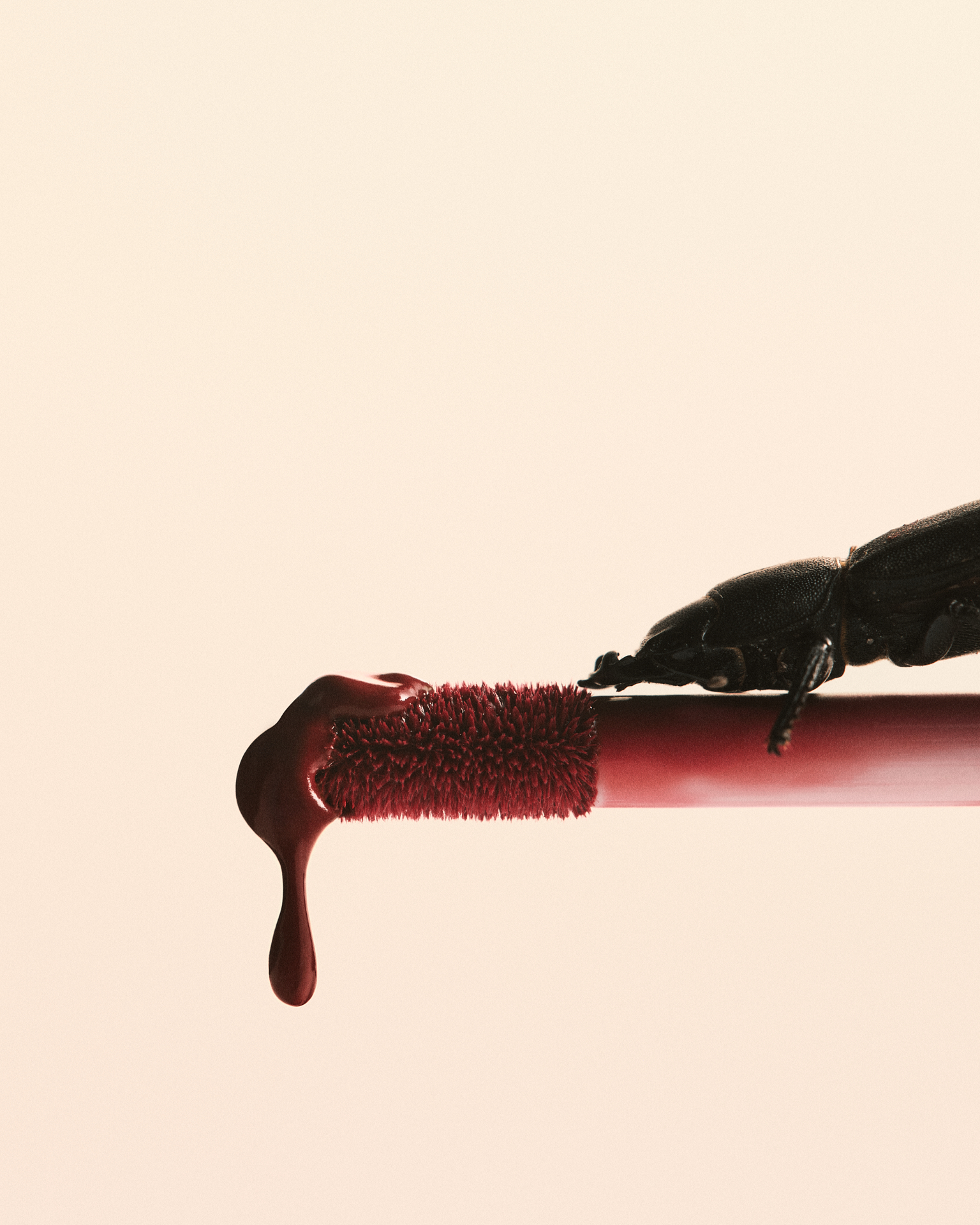 Carmin, beauty still life: Marc Jacobs lipstick and Chanel lip gloss - 4