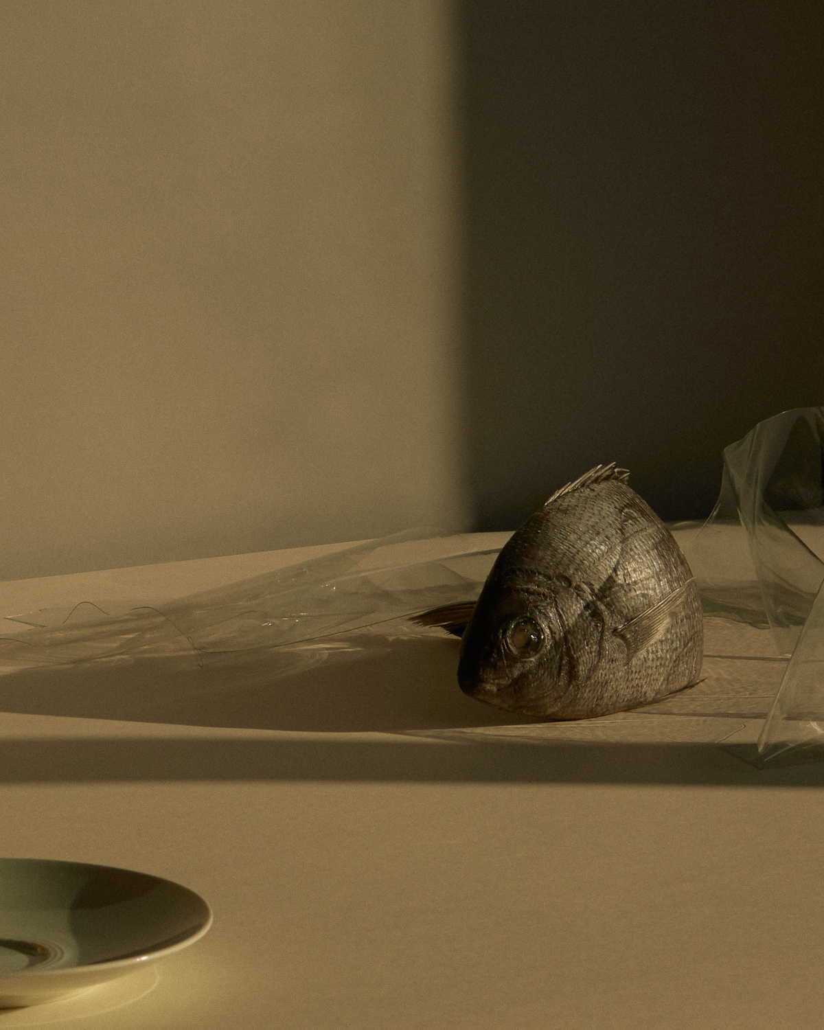 Ennui 3, série personnelle en lumière naturelle, Germain Gilbert, Époque studio, Paris - 2