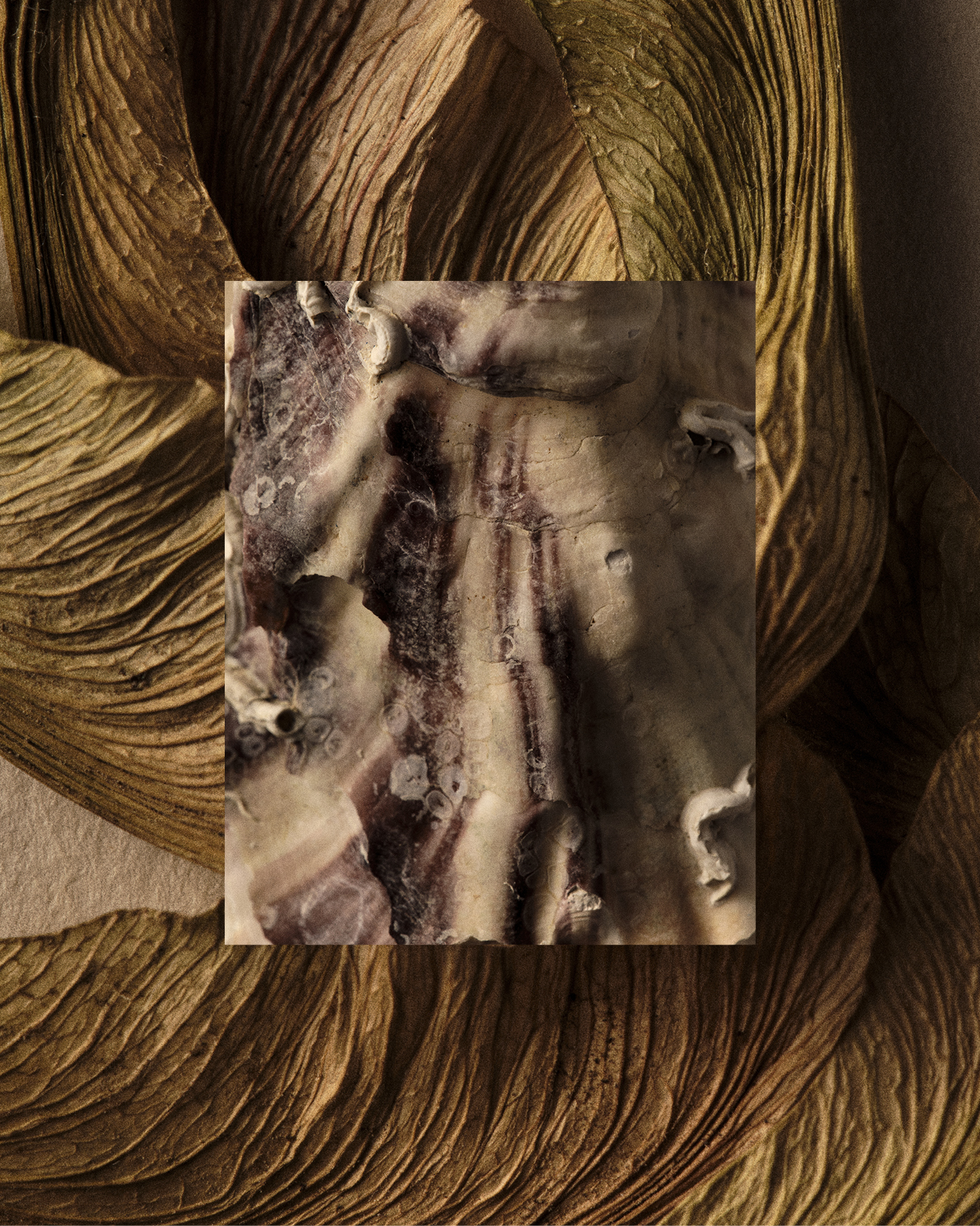 Transitoire, shoreline between ocean and land, personal series, photography by Germain Gilbert, Époque studio, Paris - 9