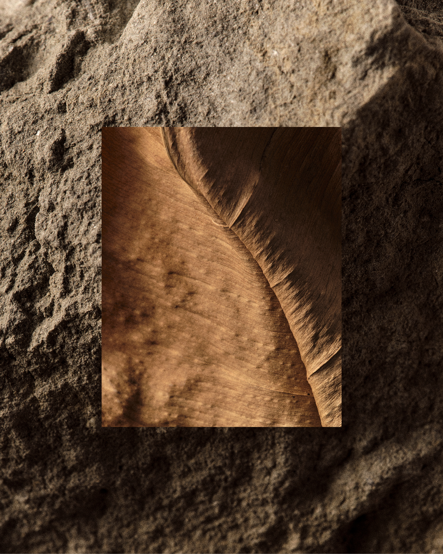 Transitoire, shoreline between ocean and land, personal series, photography by Germain Gilbert, Époque studio, Paris - 12