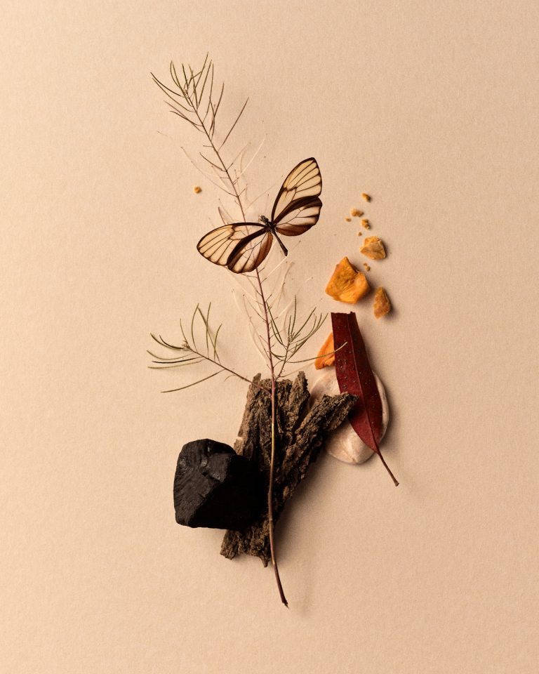 Transitoire, shoreline between ocean and land, personal series, photography by Germain Gilbert, Époque studio, Paris - 14
