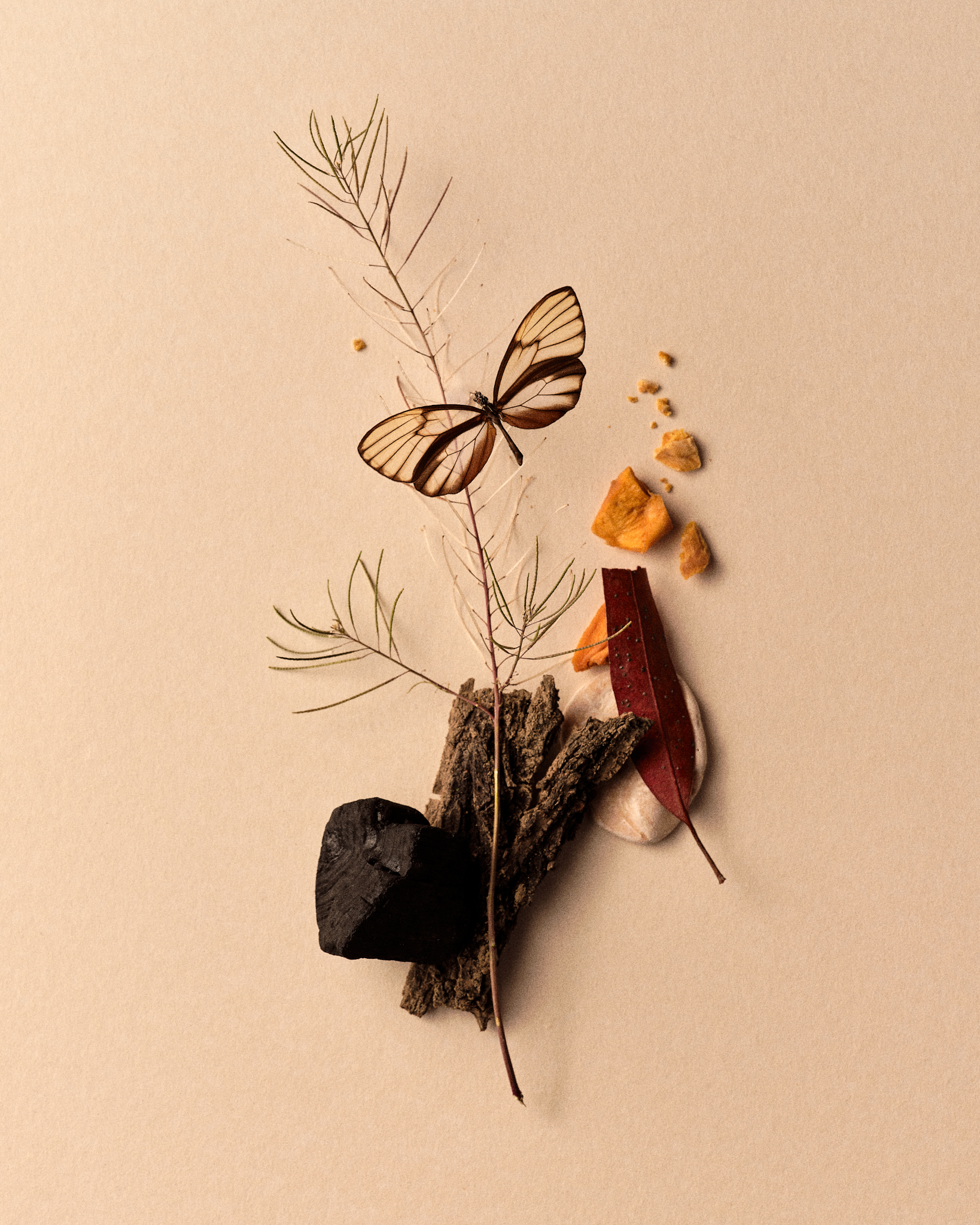 Transitoire, shoreline between ocean and land, personal series, photography by Germain Gilbert, Époque studio, Paris - 14