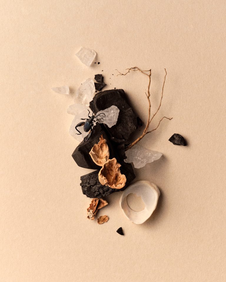 Transitoire, shoreline between ocean and land, personal series, photography by Germain Gilbert, Époque studio, Paris - 15