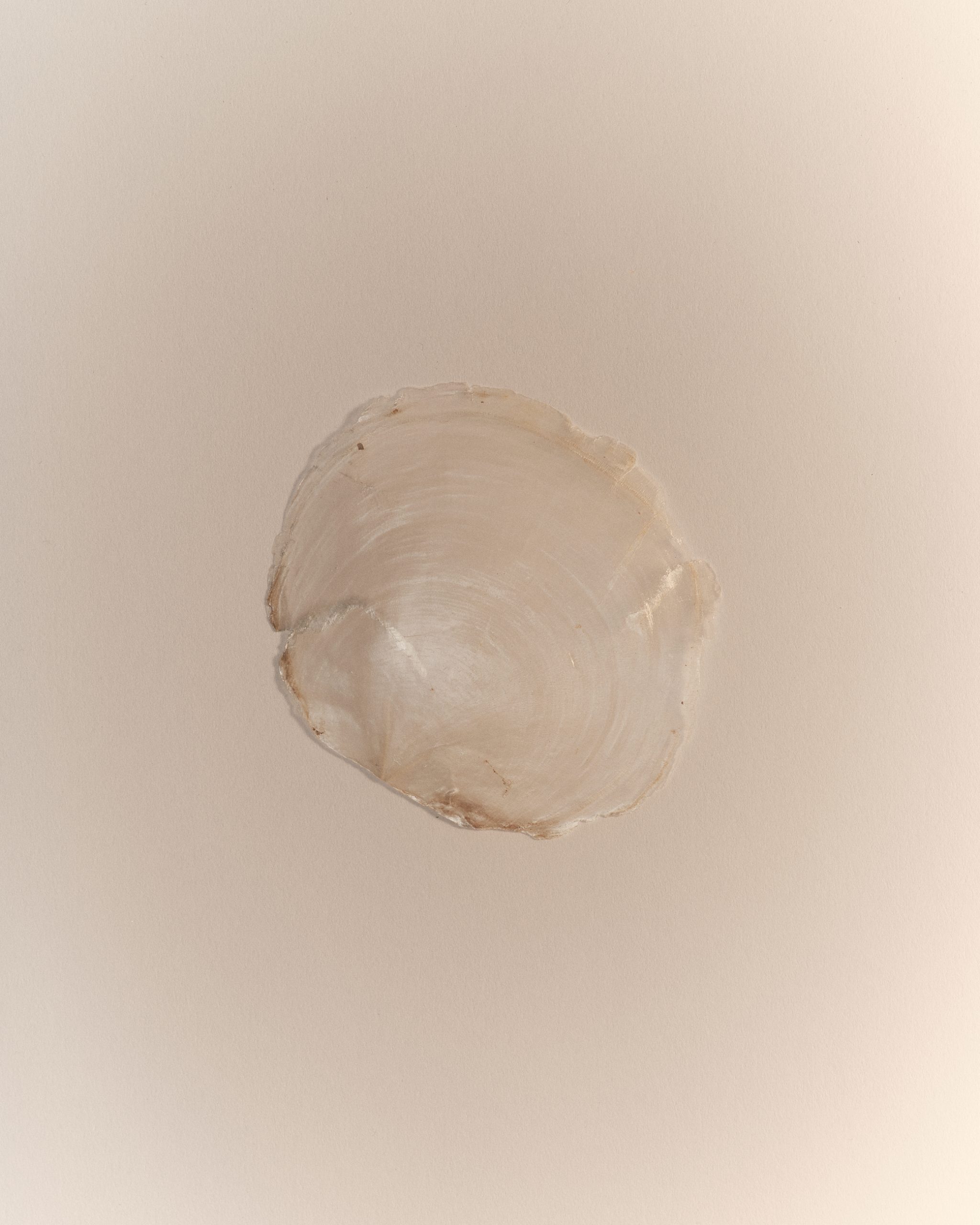 Daily II, série personnelle, Germain Gilbert, Époque studio, Paris - 9