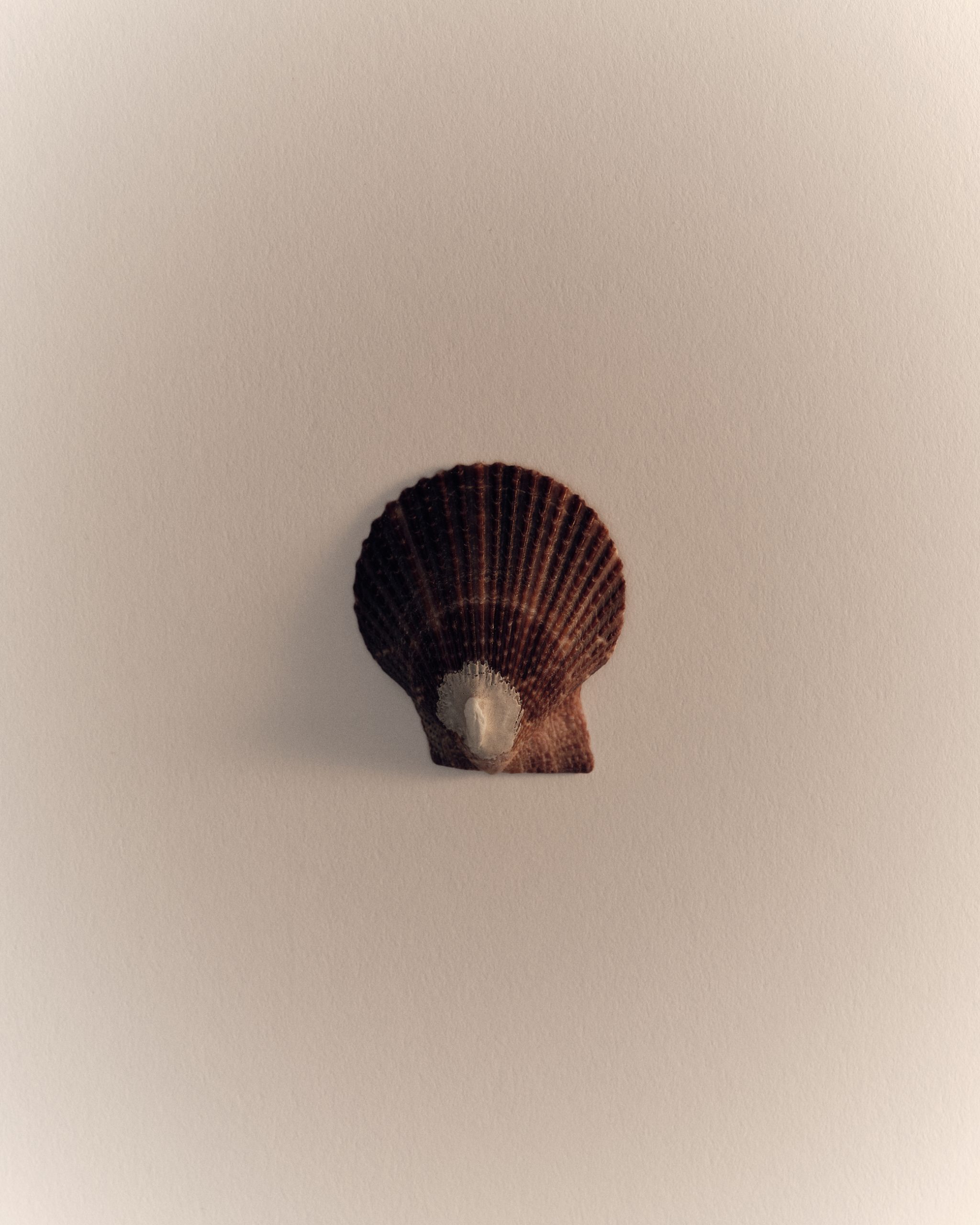 Daily II, série personnelle, Germain Gilbert, Époque studio, Paris - 2