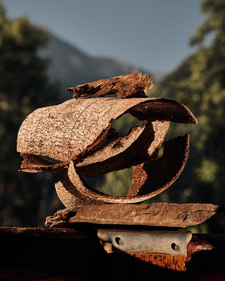 Relique, still life made from natural elements found while hiking in the Ariège Pyrenees - 3
