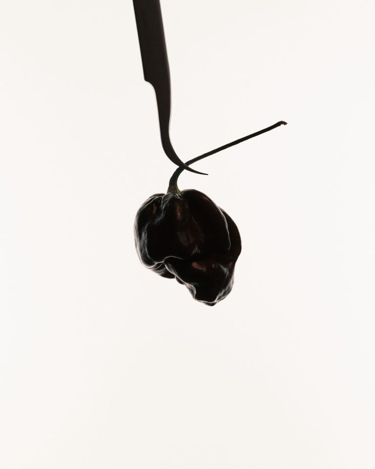Clinic Peppers, still life of rare chili peppers - 3