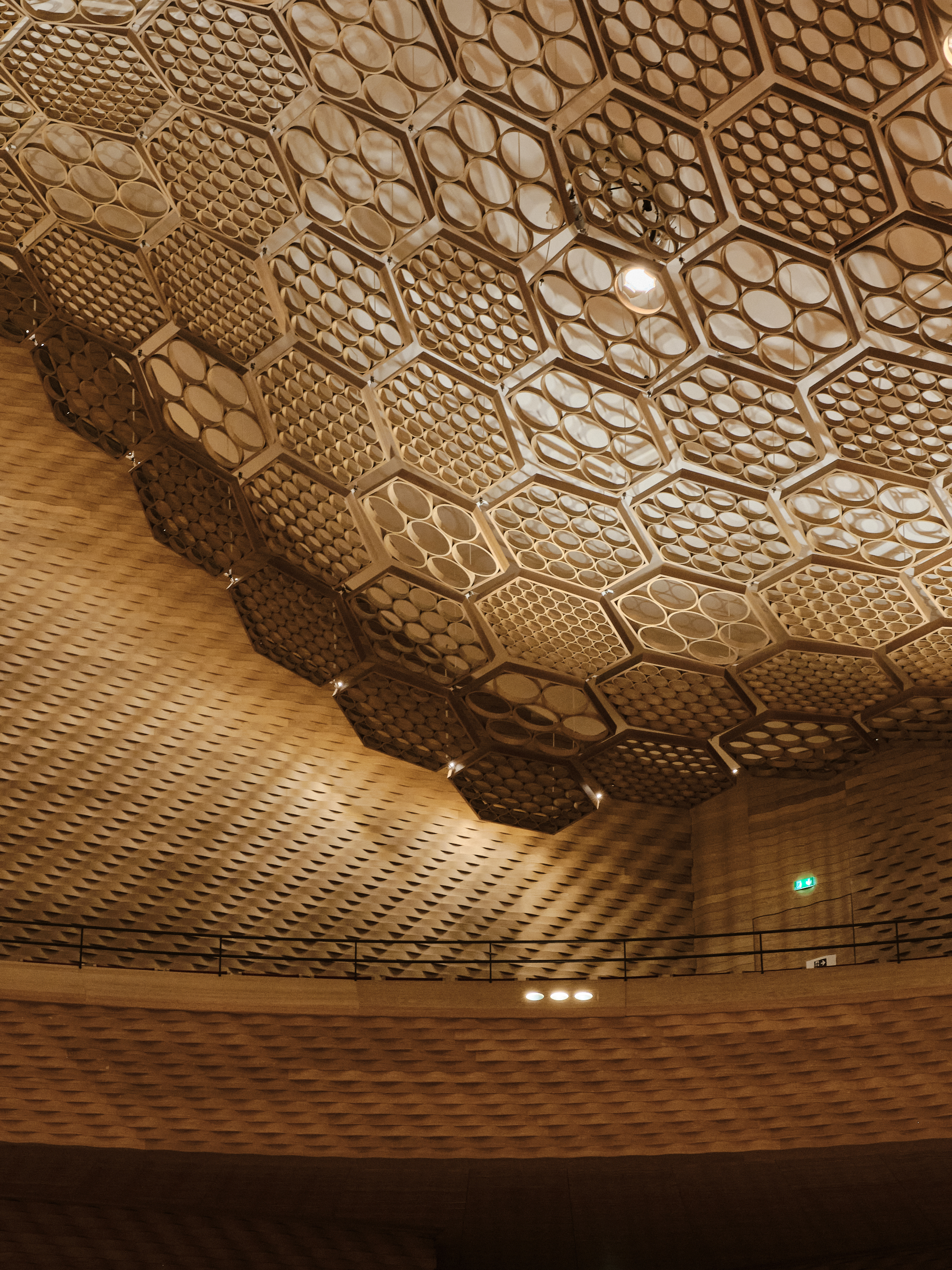 Auditorium of La Seine Musicale, carte blanche for La Seine Musicale, Noesys Production, photography by Époque studio, Paris - 13