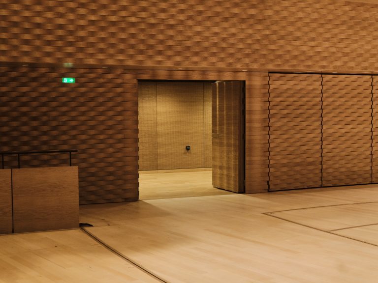 Auditorium of La Seine Musicale, carte blanche for La Seine Musicale, Noesys Production, photography by Époque studio, Paris - 7